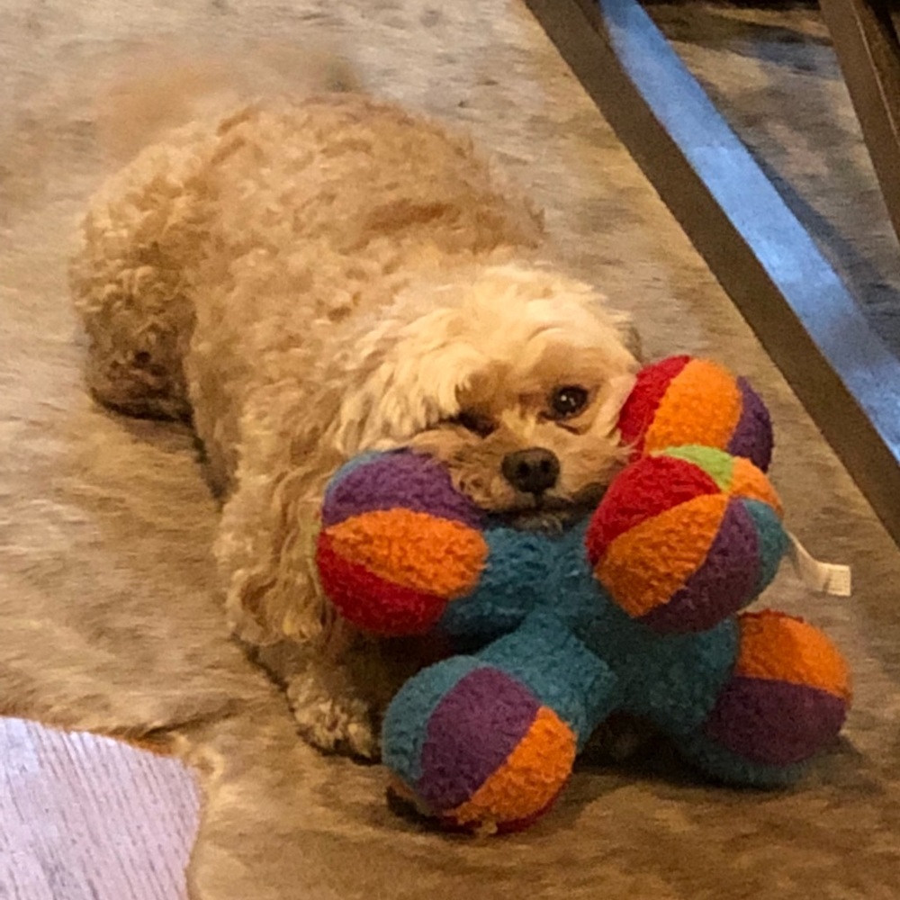 Meet your Posher, Sherri